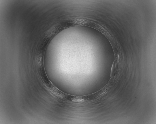X0000082980602200702152359