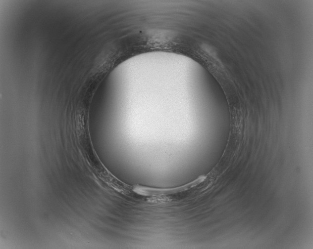 X0000082980603200702152359