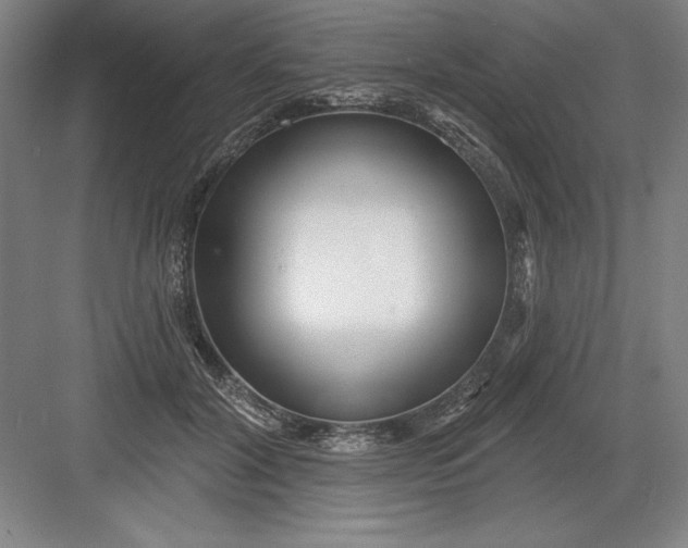 X0000082980604200702152359