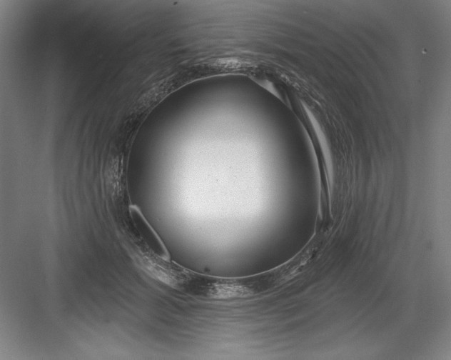 X0000082980605200702152359