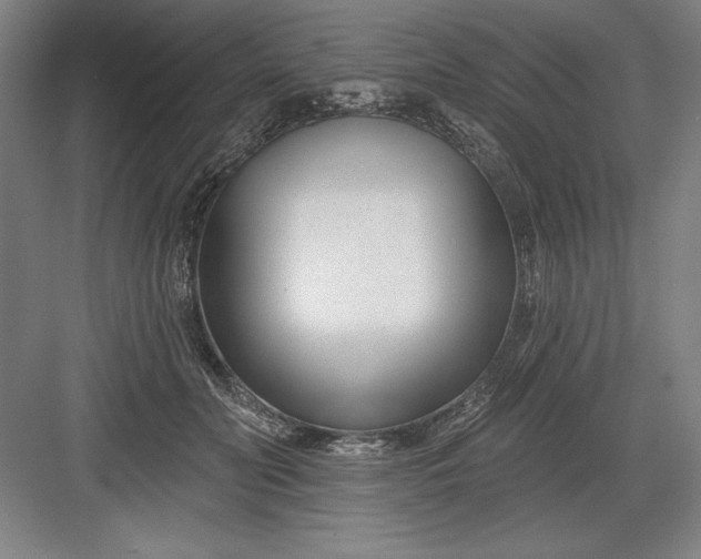 X0000082980606200702152359