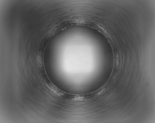 X0000082980609200702152359