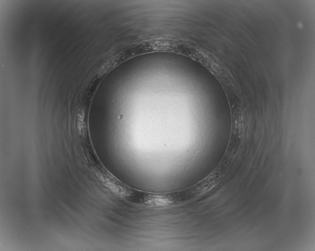 X0000082980610200702152359