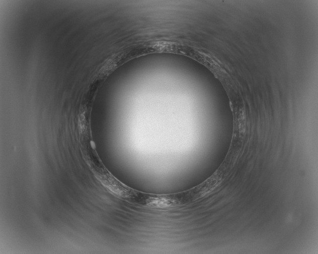 X0000082980611200702152359