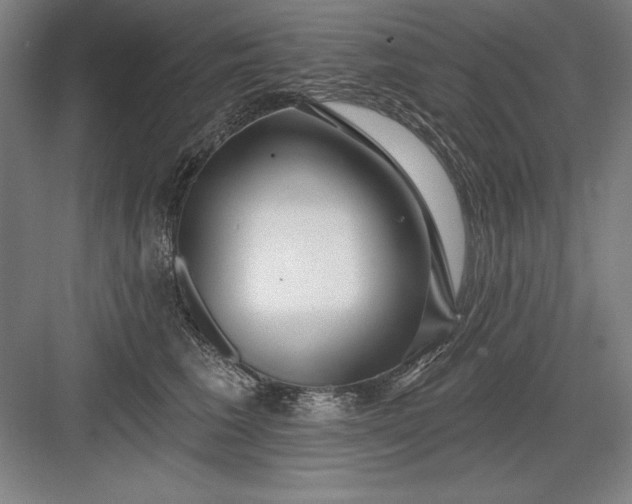 X0000082980613200702152359