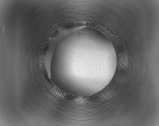 X0000082980616200702152359