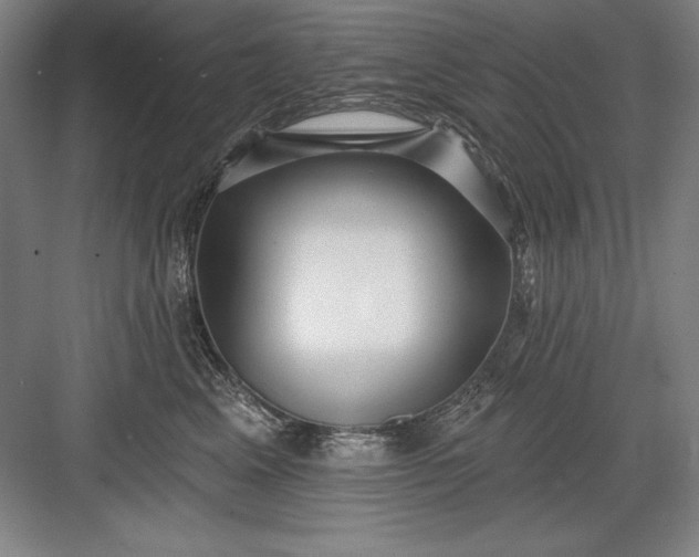 X0000082980617200702152359