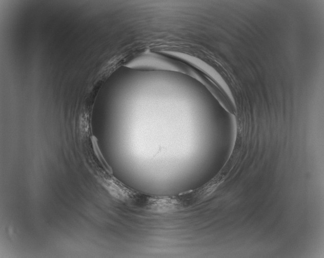 X0000082980621200702152359