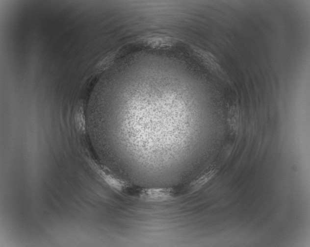 X0000082980622200702152359
