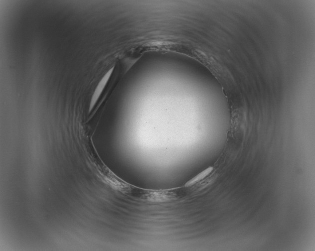 X0000082980623200702152359