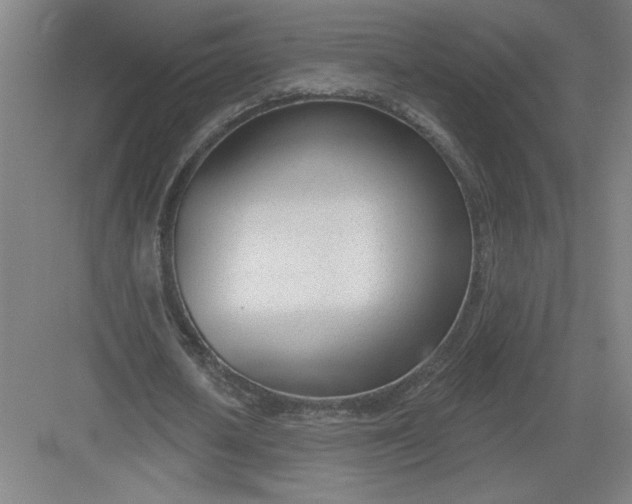 X0000082980626200702152358