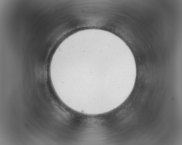 X0000082980632200702152358