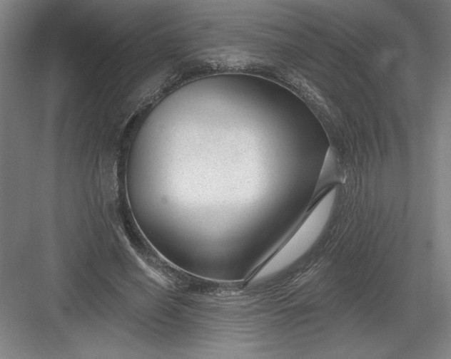 X0000082980638200702152358