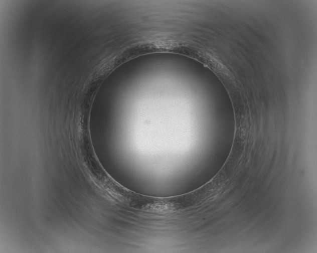 X0000082980639200702152358