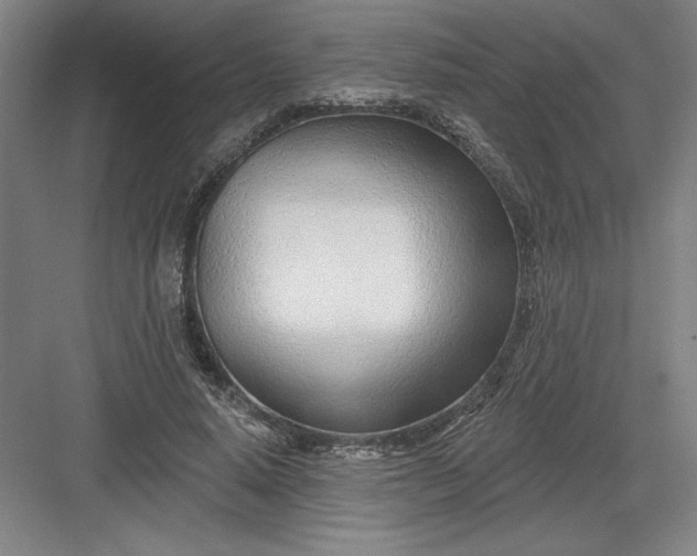 X0000082980640200702152358
