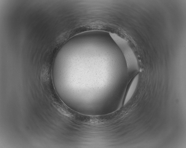 X0000082980641200702152358