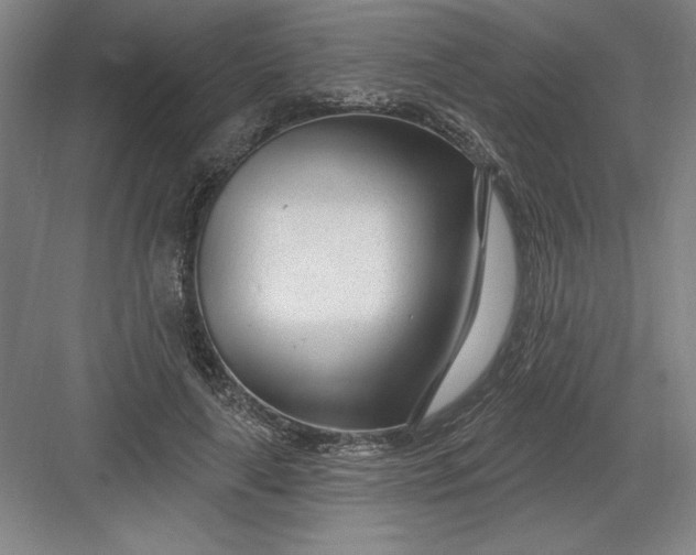 X0000082980643200702152358