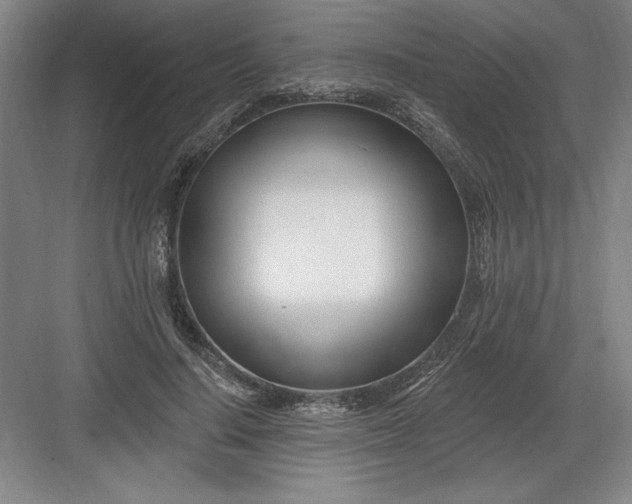 X0000082980644200702152358