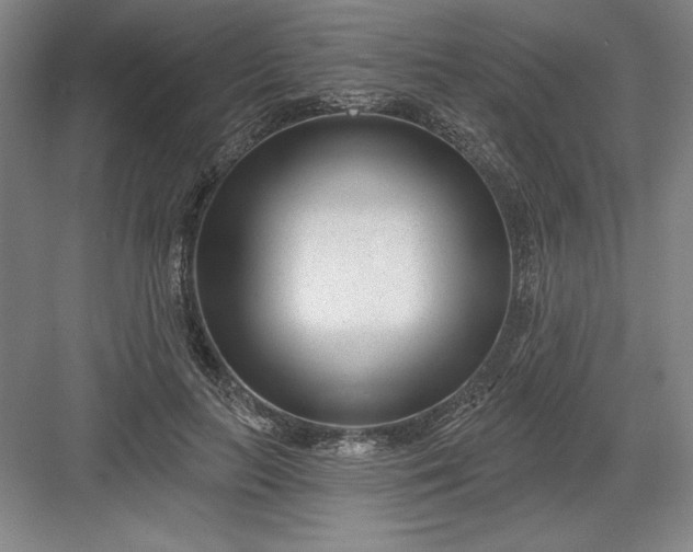 X0000082980647200702152358