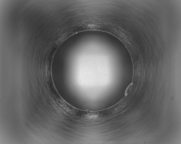 X0000082980651200702152359