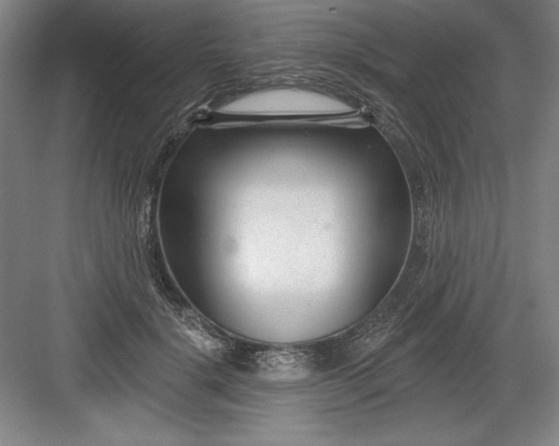 X0000082980652200702152359