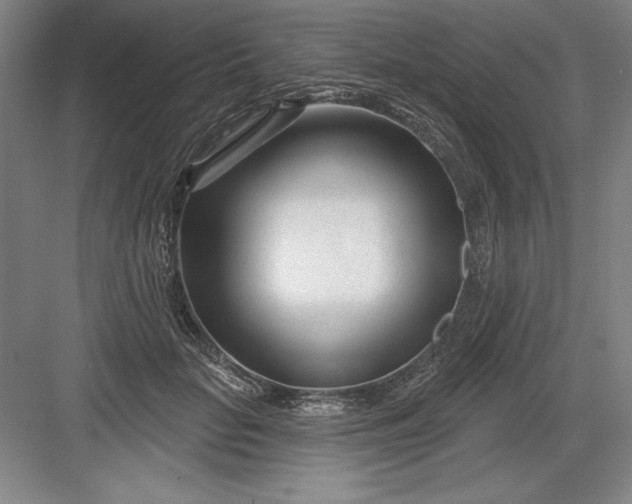 X0000082980653200702152359