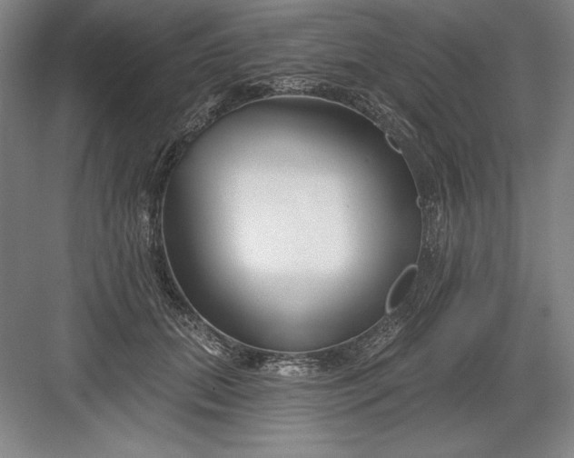 X0000082980655200702152359
