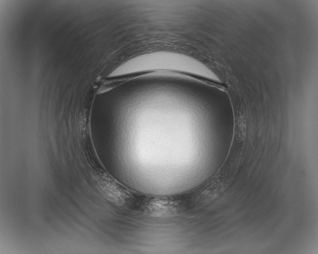 X0000082980657200702152359