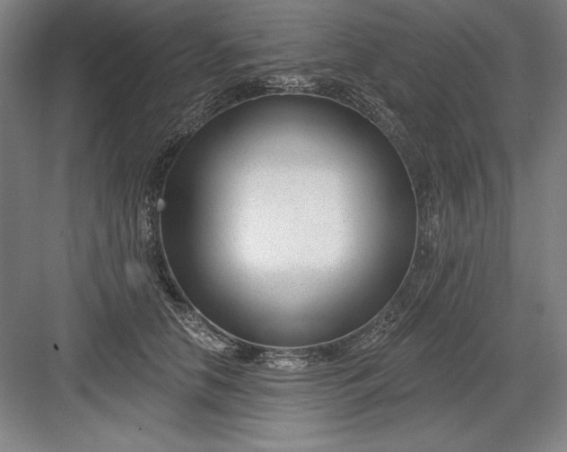 X0000082980658200702152359