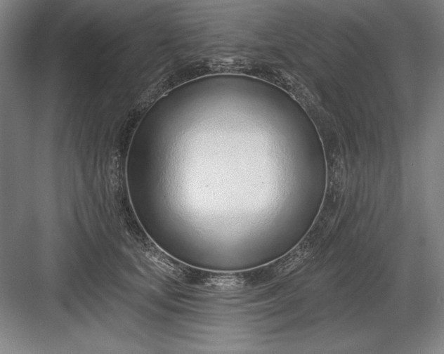 X0000082980659200702152359