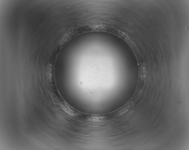 X0000082980664200702152359