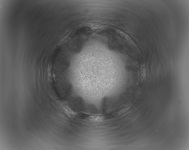 X0000082980667200702152359