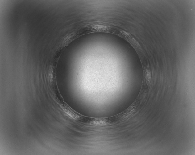 X0000082980668200702152359