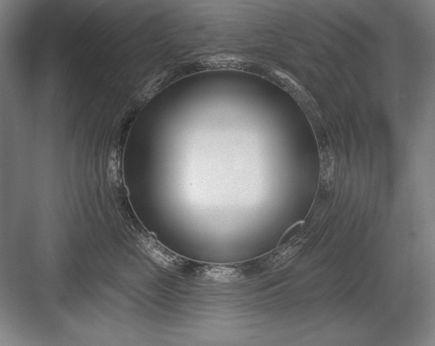 X0000082980669200702152359