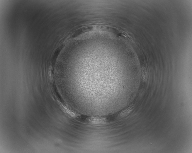 X0000082980670200702152359