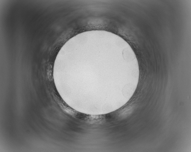 X0000082980672200702152359