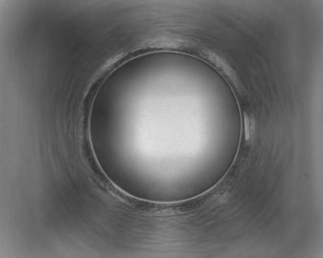 X0000082980675200702152358