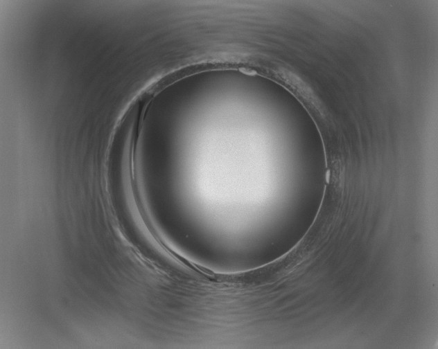 X0000082980676200702152358