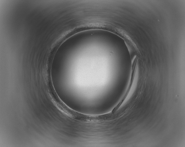 X0000082980677200702152358