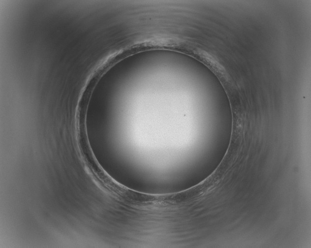 X0000082980678200702152358