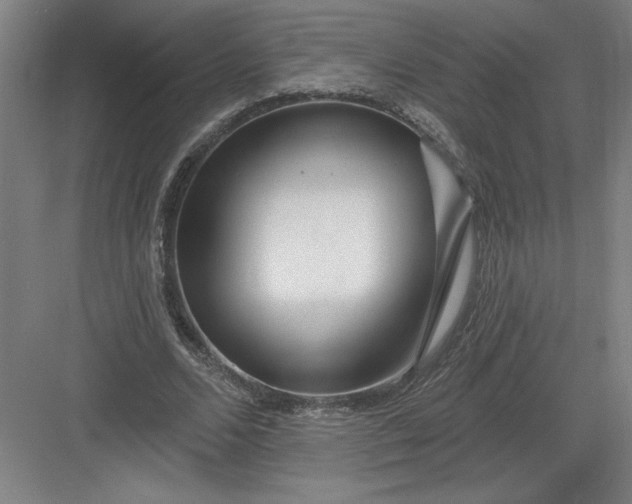 X0000082980680200702152358
