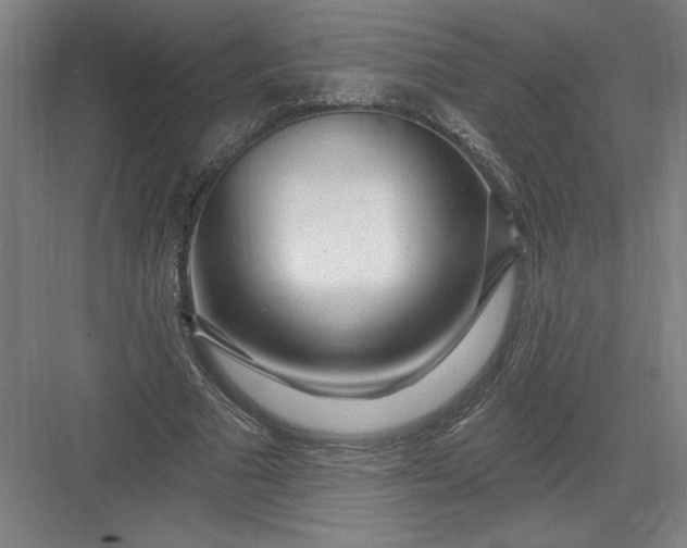 X0000082980681200702152358