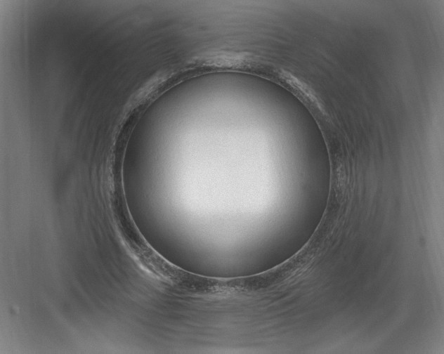 X0000082980682200702152358