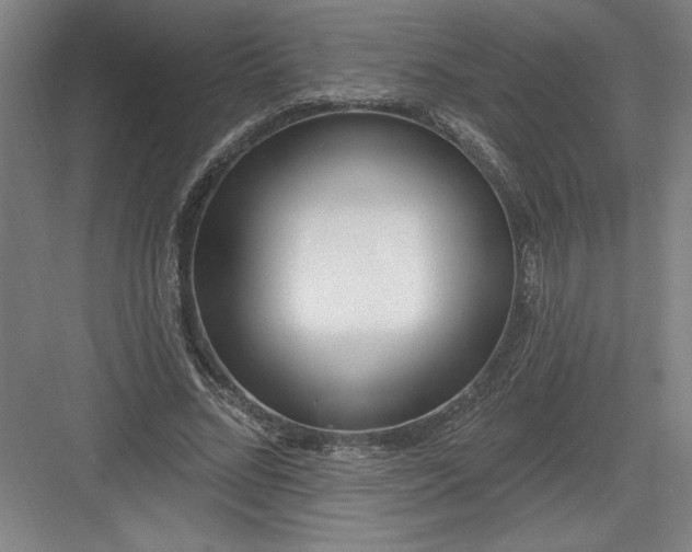 X0000082980684200702152358