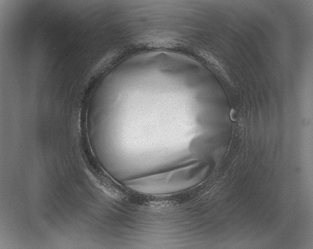 X0000082980686200702152358