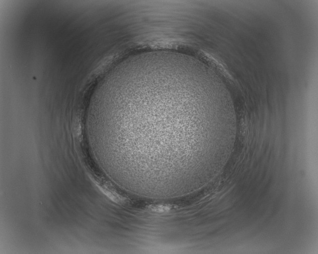 X0000082980687200702152358