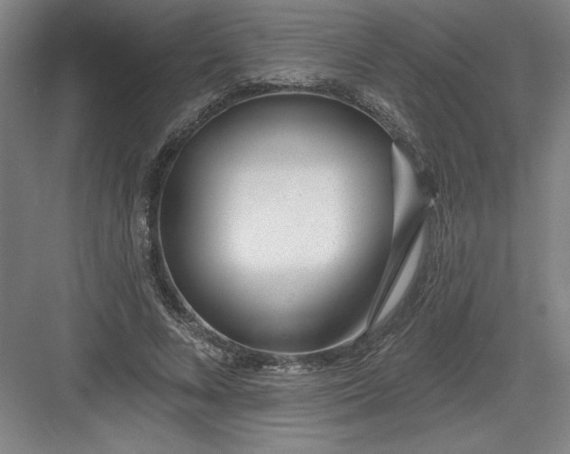 X0000082980688200702152358