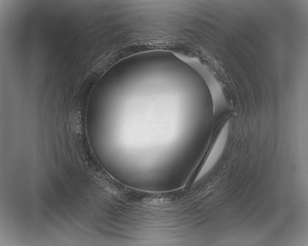 X0000082980689200702152358