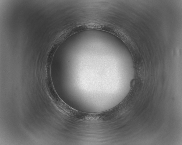 X0000082980690200702152358