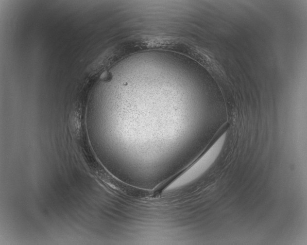 X0000082980691200702152358